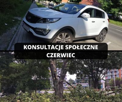 Tematy konsultacji społecznych